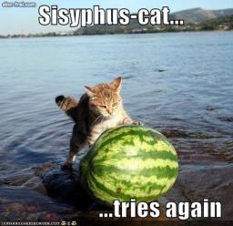 Sisyphus Cat